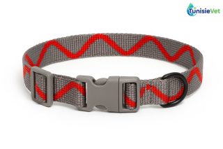Collier réglable pour chien