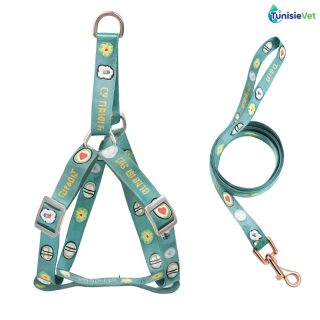 Harnais Laisse Avocat – Petits Chiens ou chats Stylés