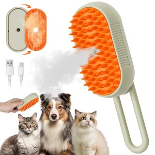BROSSE A VAPEUR