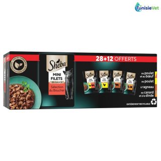 POCHON AU POULET & BOEUF 85GR