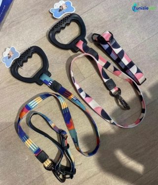 Laisse et collier pour grand chien
