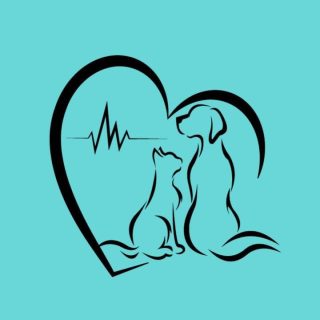 Dr Saloua & sinda Ben Fredj VetCare La Corniche