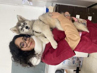 Paw pets clinic