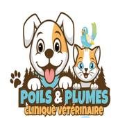 Poils et plumes