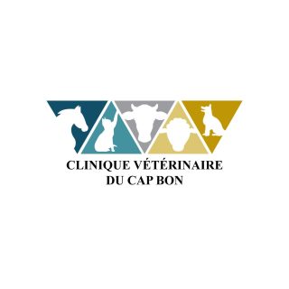 Du Cap Bon - Kélibia