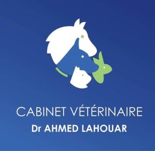 Dr. Ahmed Lahouar