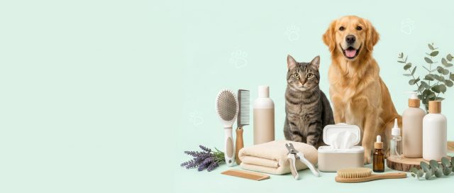 Soins et Hygiène