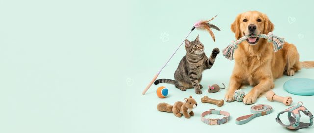 Jouets et Accessoires