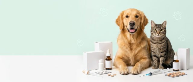 Médicaments