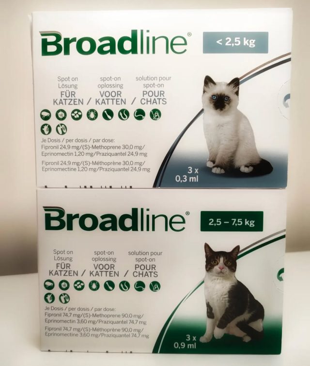 𝑳𝒆 𝒏𝒐𝒖𝒗𝒆𝒂𝒖 𝒂𝒏𝒕𝒊𝒑𝒂𝒓𝒂𝒔𝒊𝒕𝒂𝒊𝒓𝒆 𝑩𝑹𝑶𝑨𝑫𝑳𝑰𝑵𝑬 𝒆𝒔𝒕...