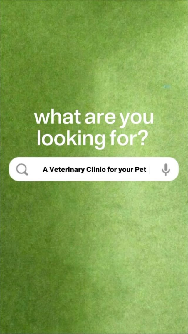 🐾 Bienvenue à la Clinique Vétérinaire P...