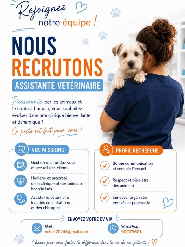 🐾 Vet’art recrute ! 🐾
📣📣

Nous reche...