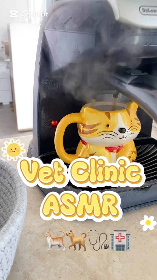 ASMR 🏥🩺🐈🐕 #pet #animal #animals #pet...