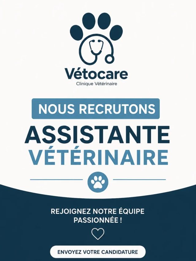 📢 VETOCARE RECRUTE UNE ASSISTANTE VÉTÉR...