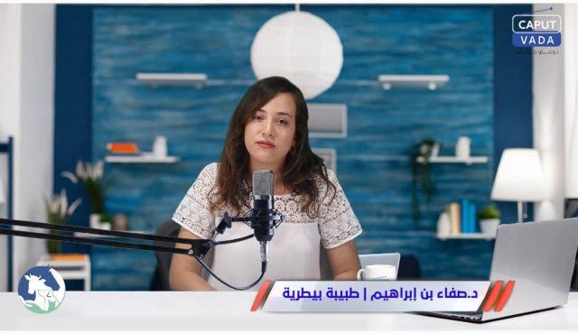الحلقة الثانية من برنامج _conseil véto_...