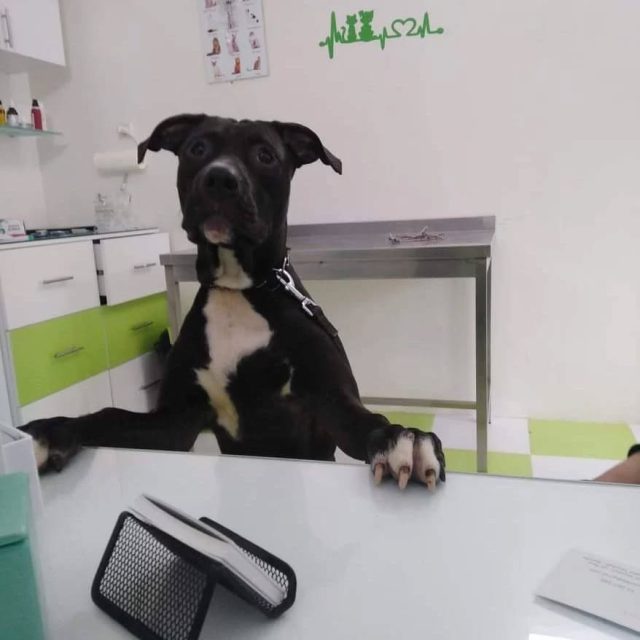 Diego💚