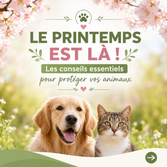 🌸🐾 Le printemps est là… et avec lui qu...