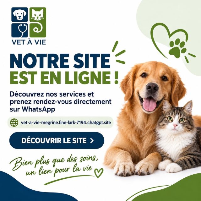 🌐 VET À VIE se rapproche encore plus de...