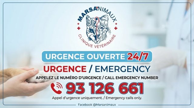 Clinique Vétérinaire Marsanimaux – Servi...