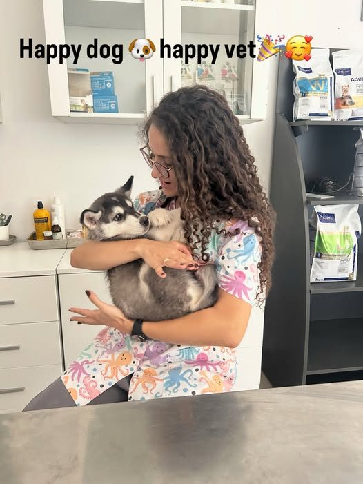 My lovely new puppy 🐶🥰🌹
 #veterinaire...