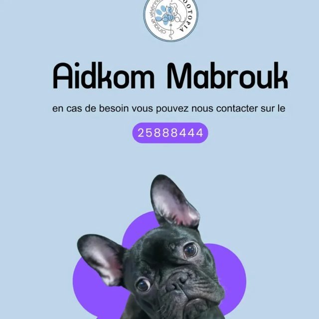 Zootopia vous souhaite une bonne fête de...