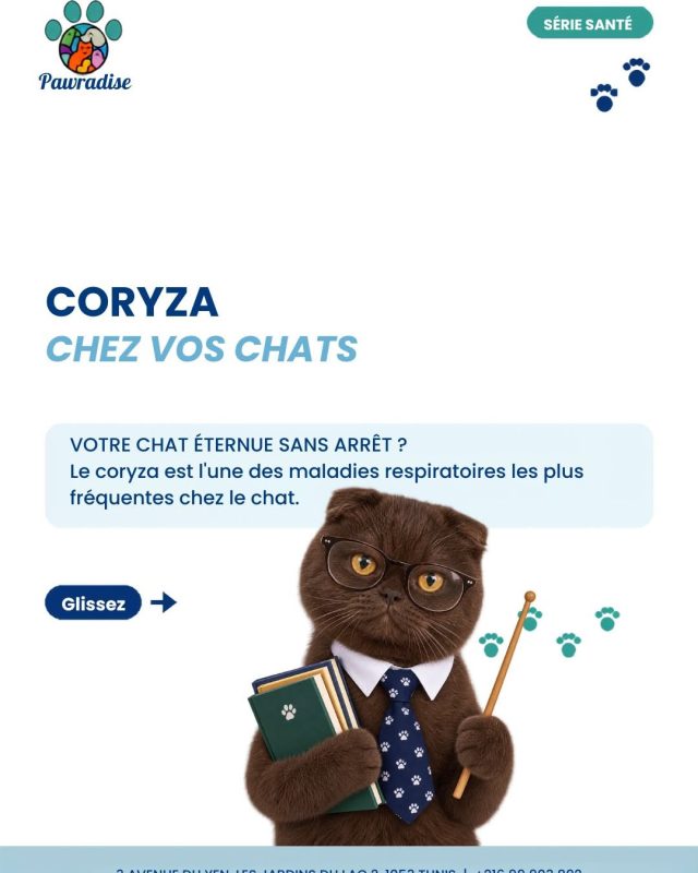 Éternuements + yeux qui coulent = coryza...