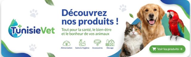 Discover our pet products