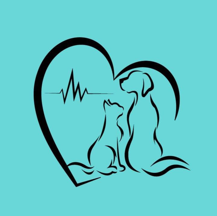 Dr Saloua & sinda Ben Fredj VetCare La Corniche