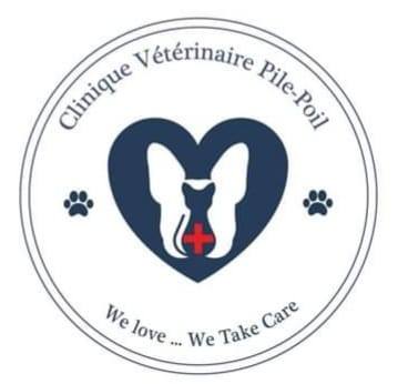 Pile-Poil Ain Zaghouan