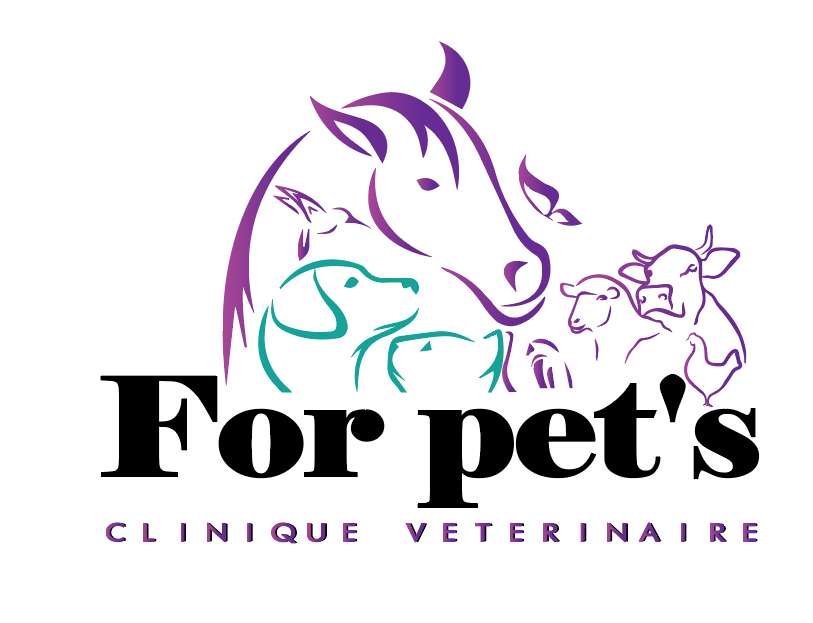 For pet's
