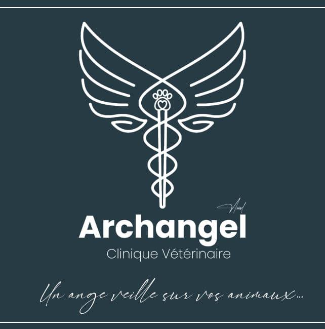 Archangel veterinary clinic